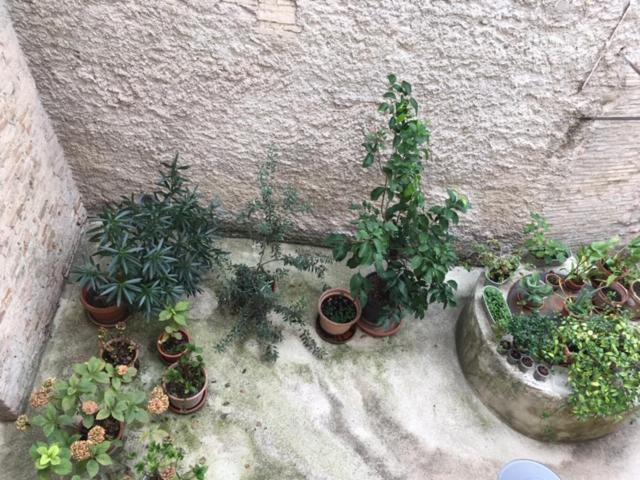L'Arco Romano Apartment Foligno Exterior photo